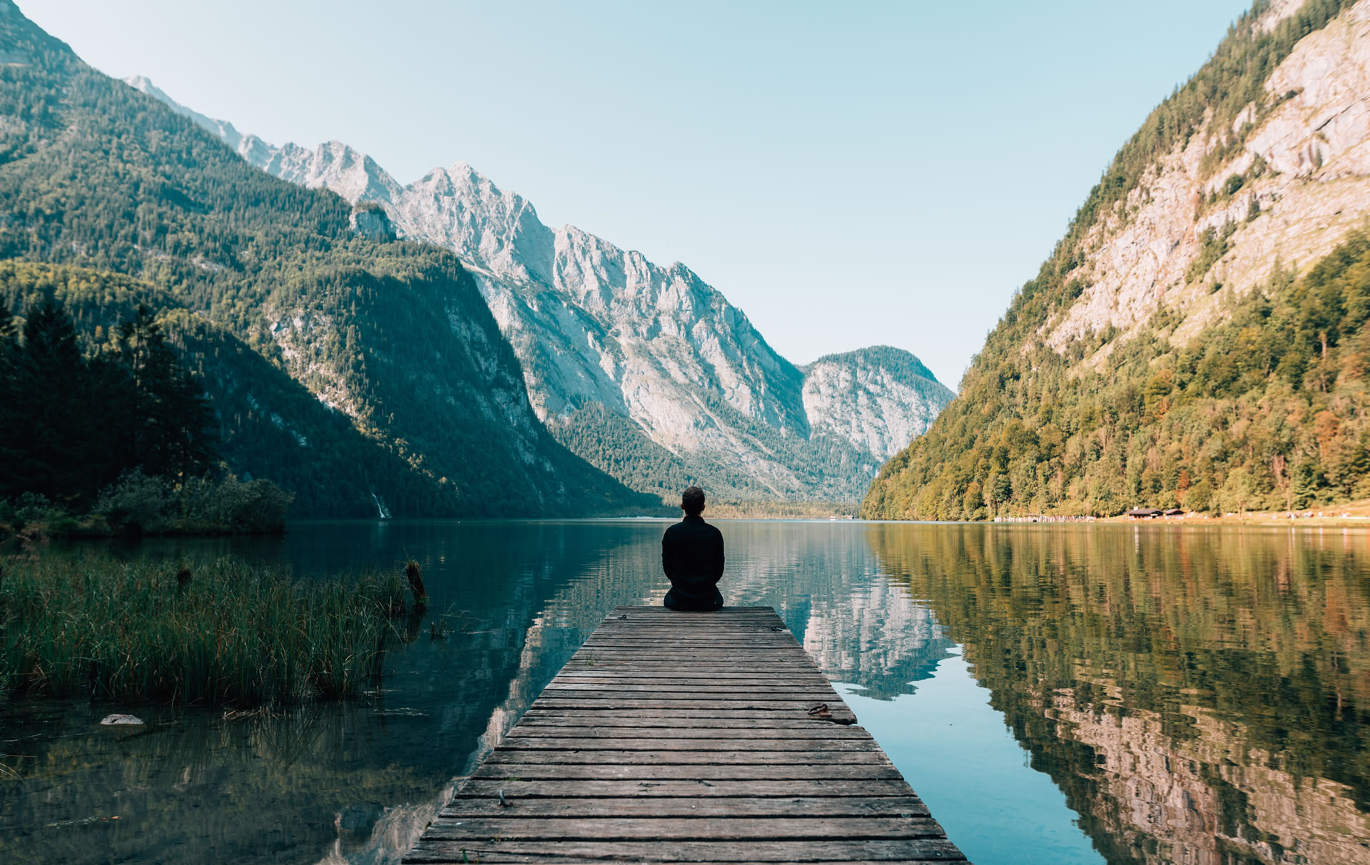 eleanorfrechettetherapy.com